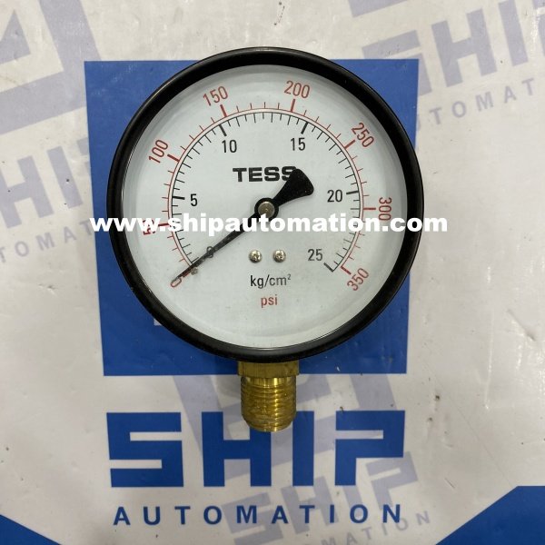 Tess B100D (0…..25 Kg/cm2) | Pressure Gauge